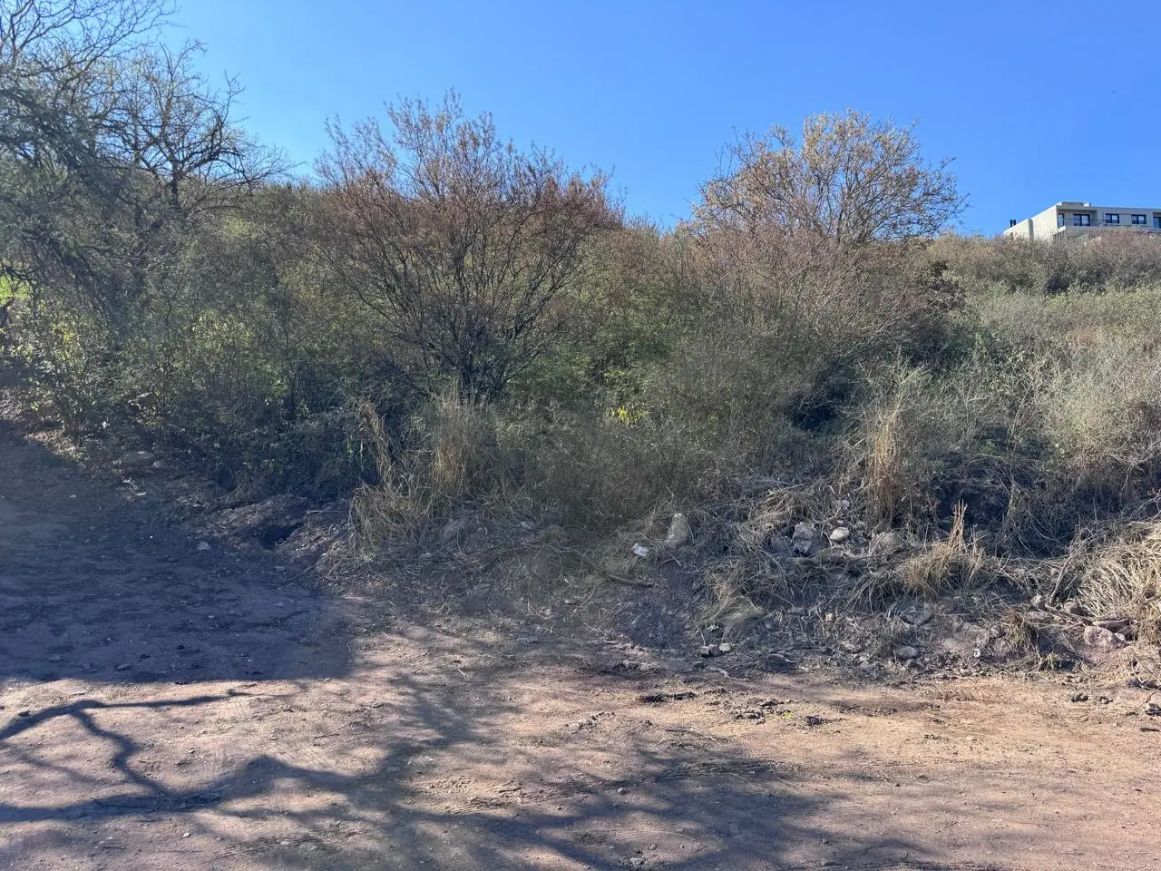 Foto 8