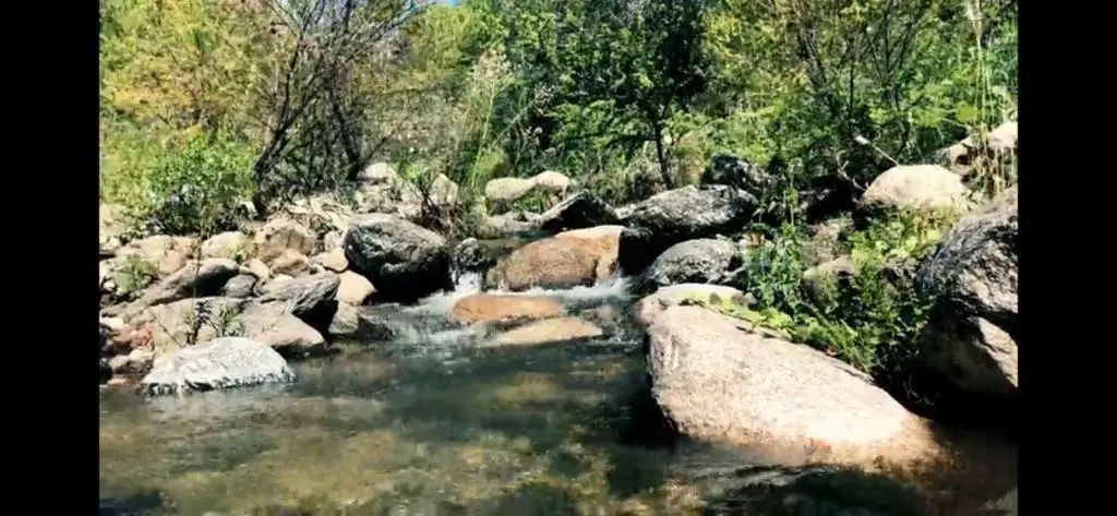 Foto 16