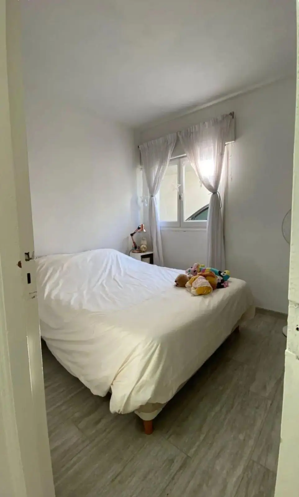 Foto 12