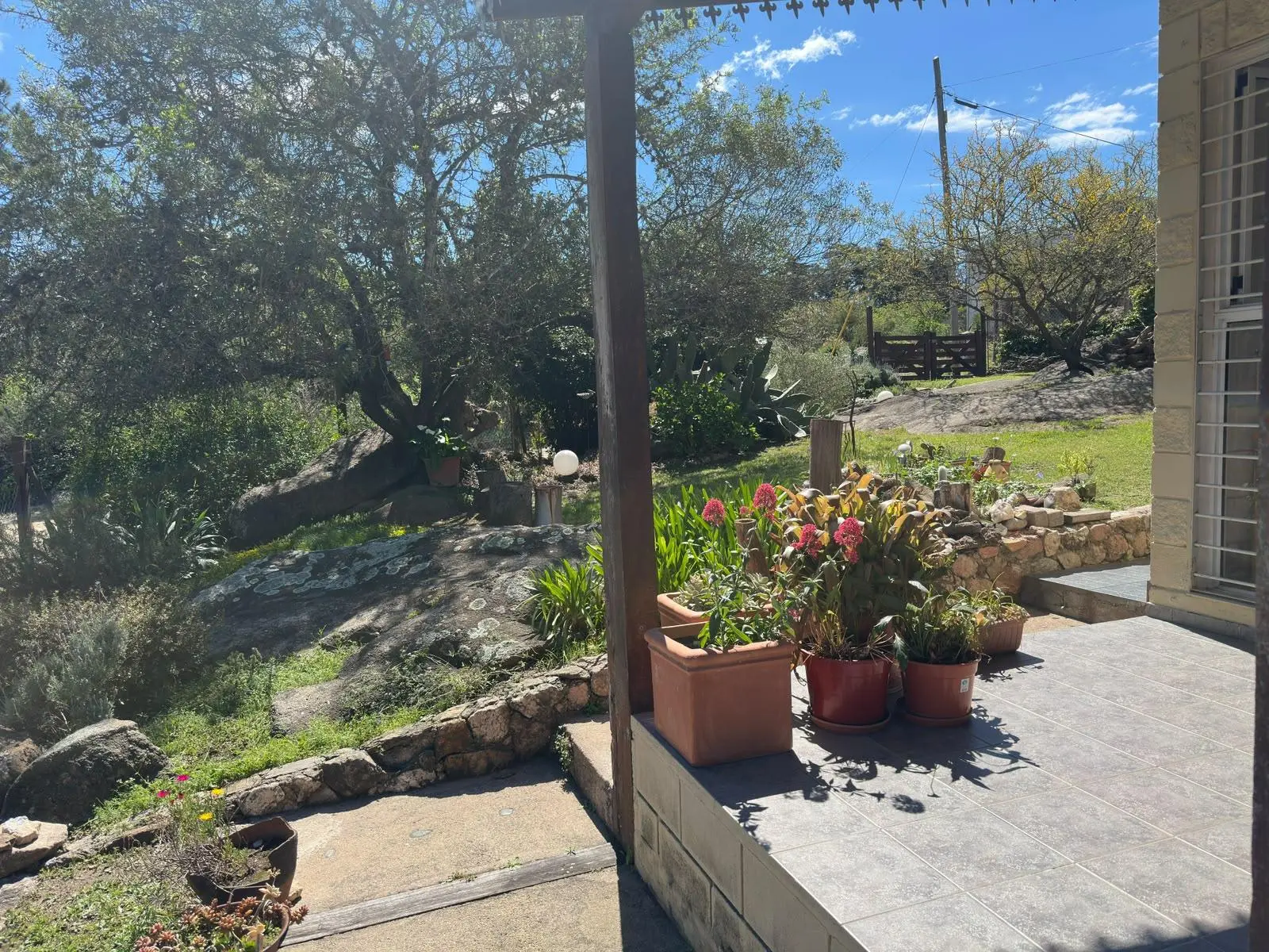 Foto 5