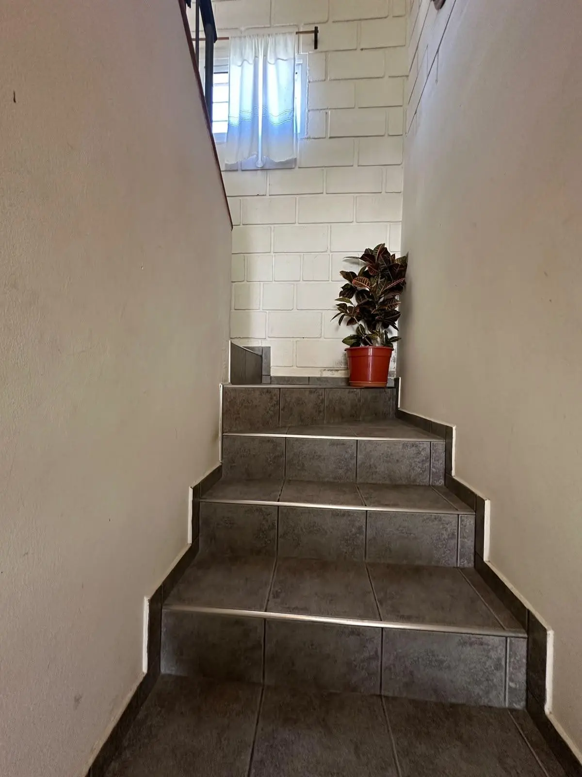 Foto 22
