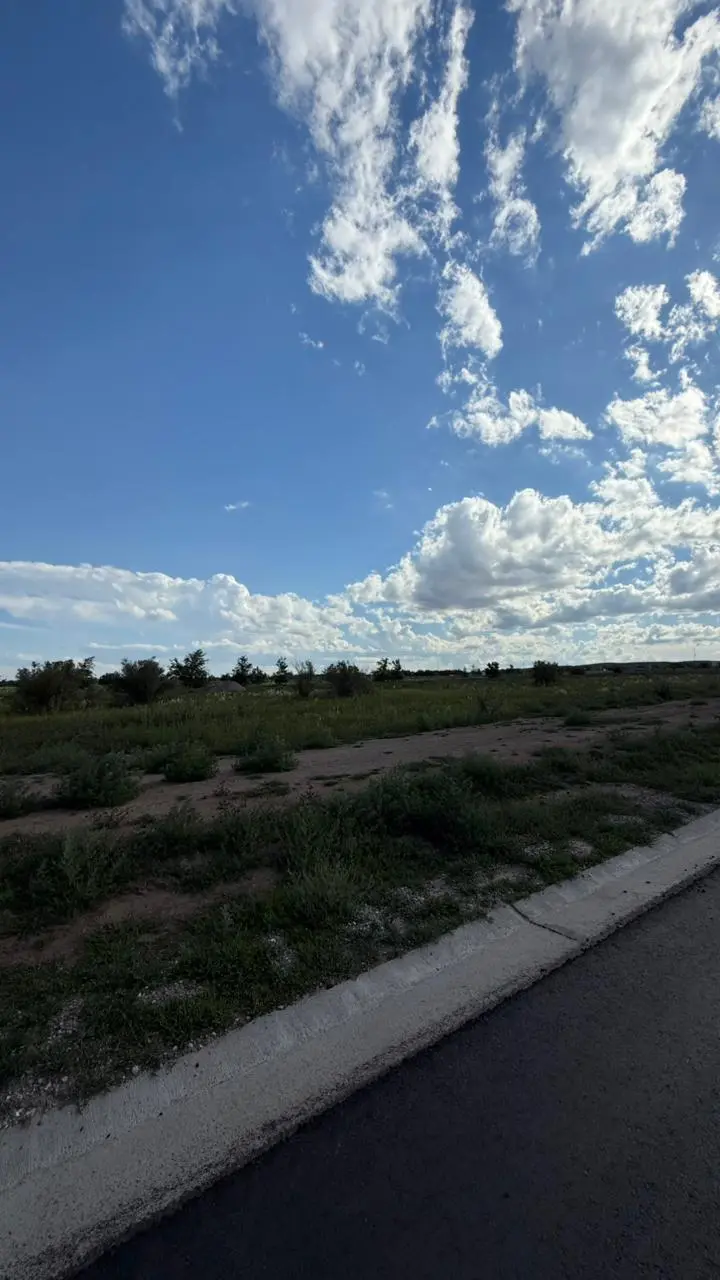 Foto 19