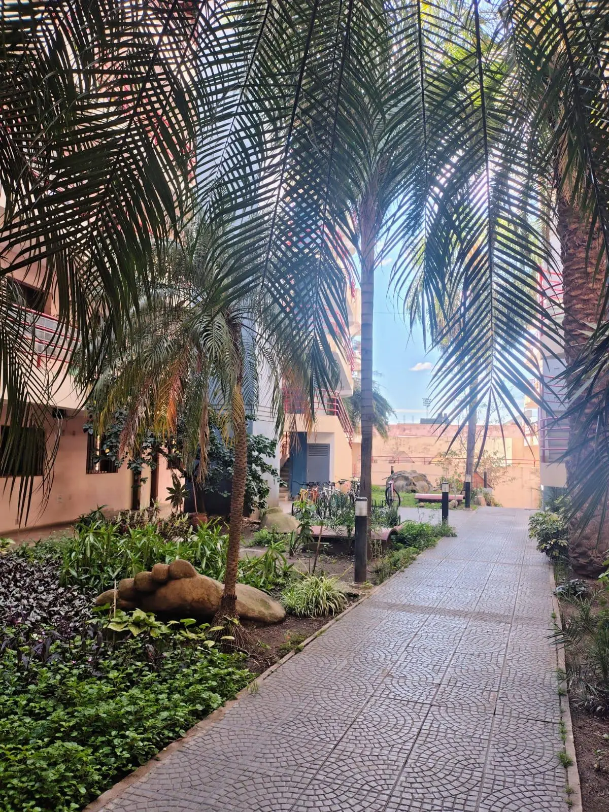 Foto 48