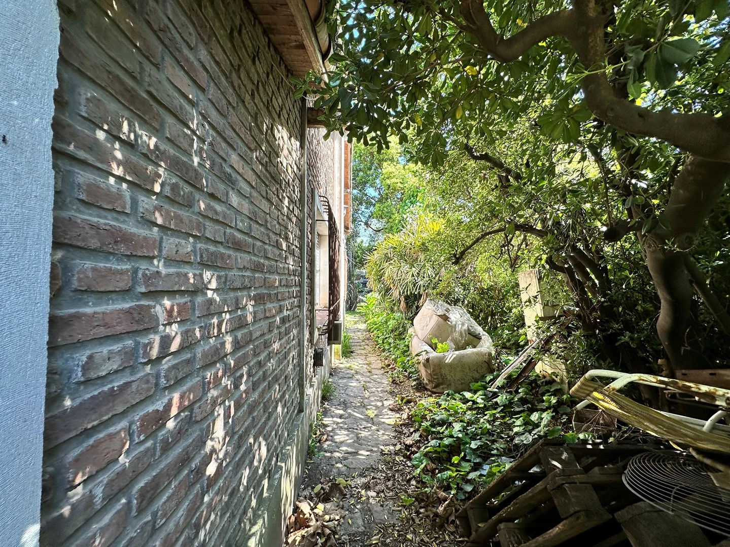 Foto 10