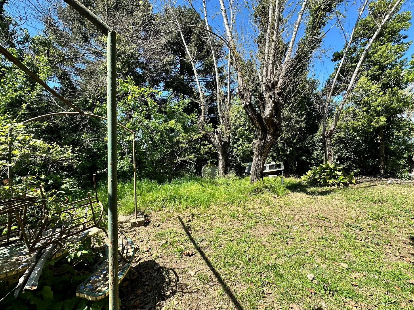 Foto 13