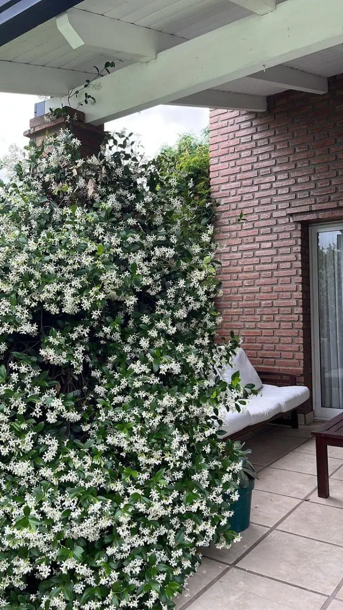 Foto 24