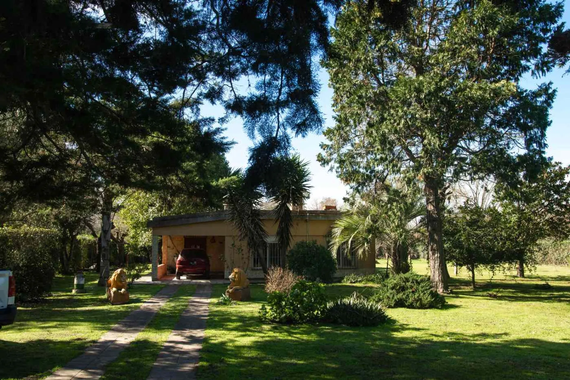 Foto 4