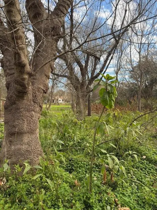 Foto 10