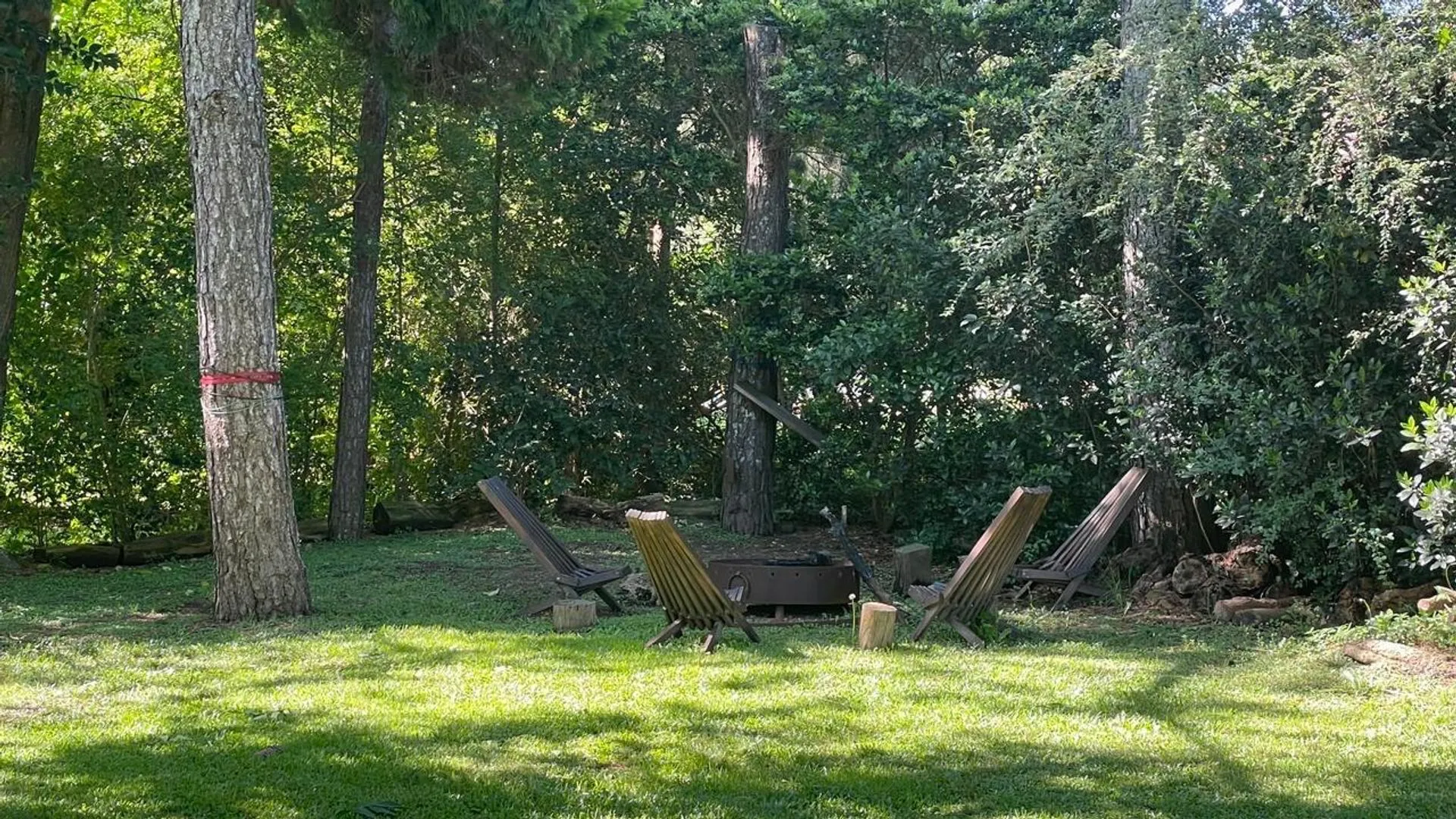 Foto 31