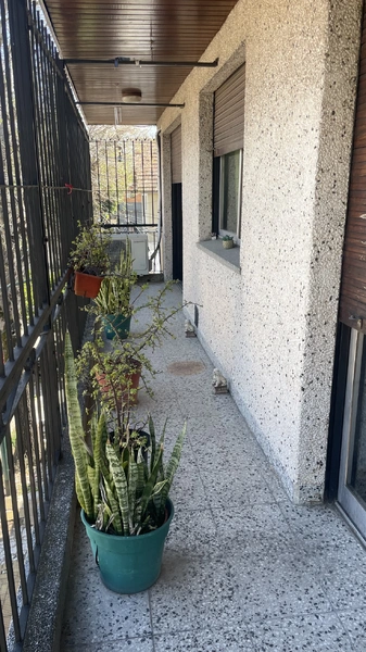 Foto 21