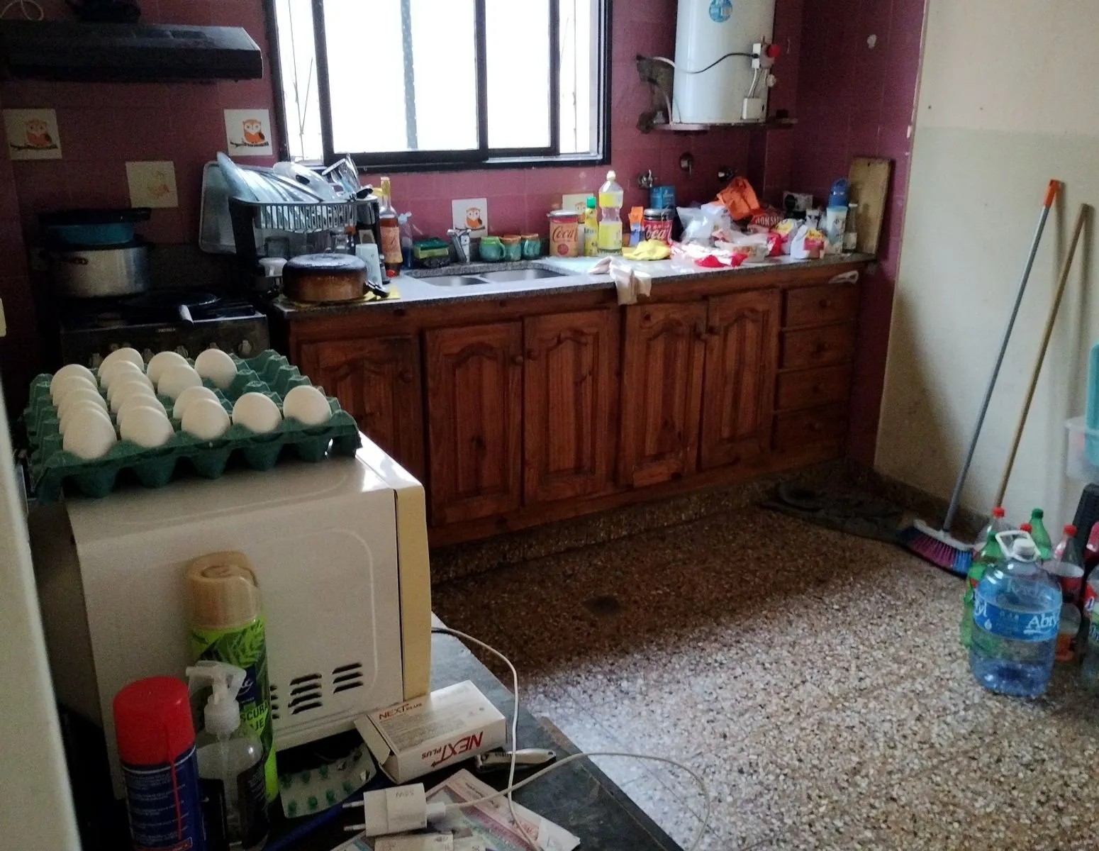 Foto 5