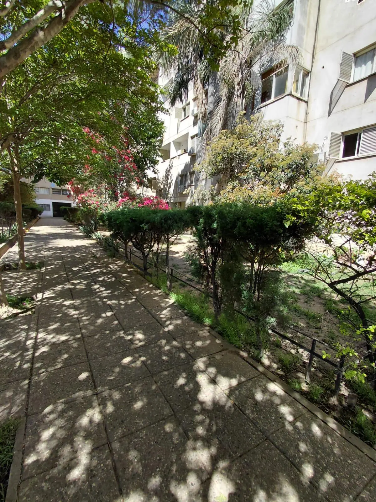 Foto 18