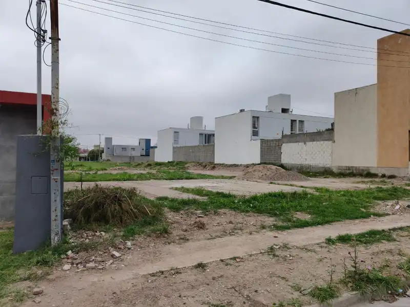 Foto 7