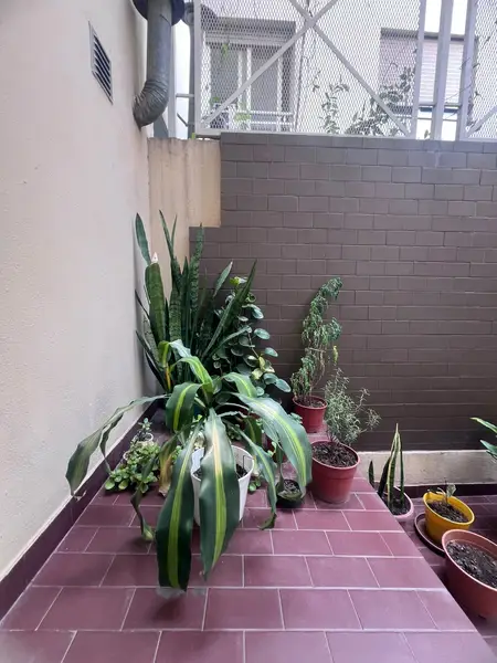 Foto 33