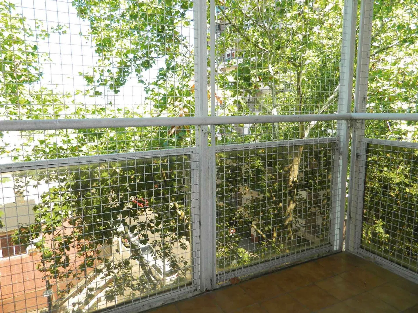 Foto 10