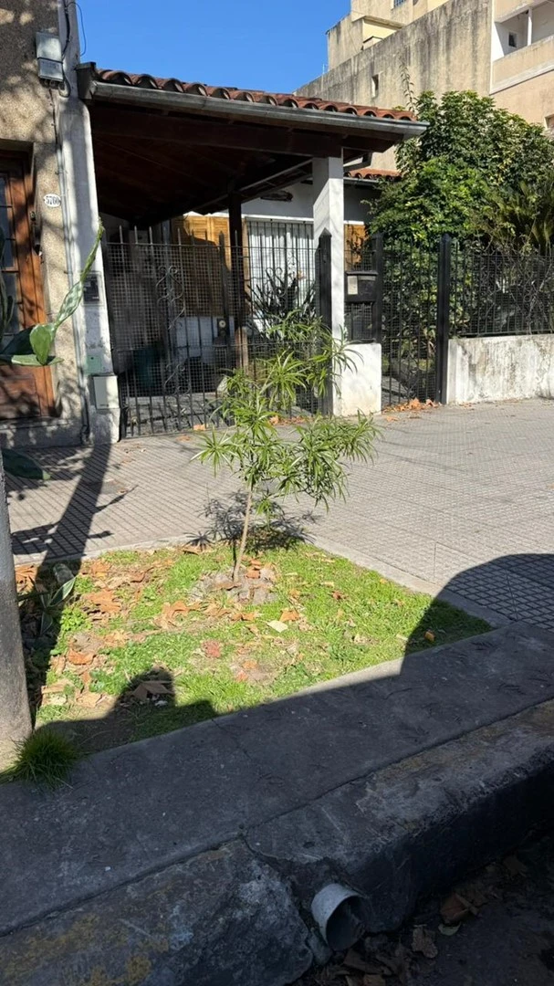 Foto 20