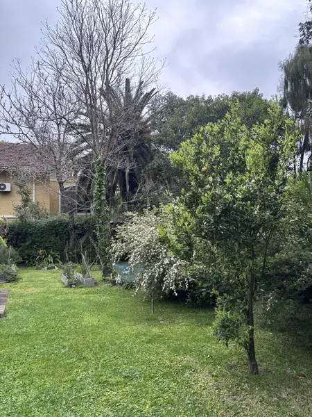 Foto 15