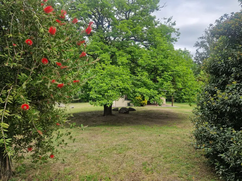 Foto 13