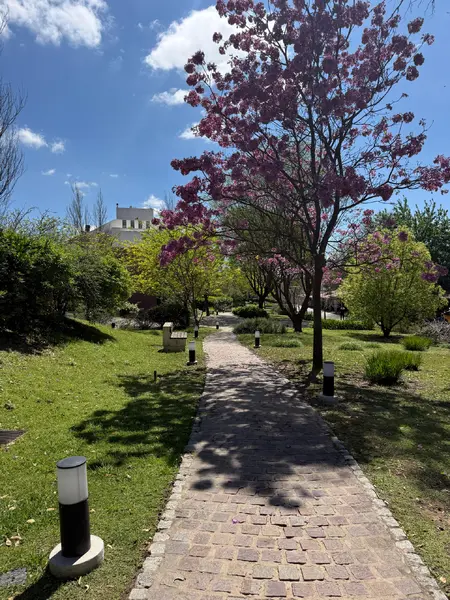 Foto 34