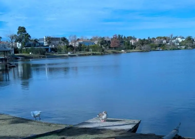 Foto 42