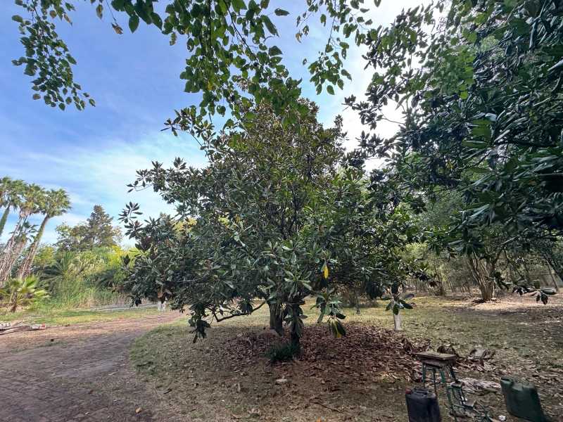 Foto 43