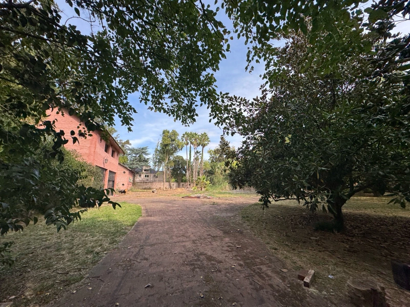 Foto 44