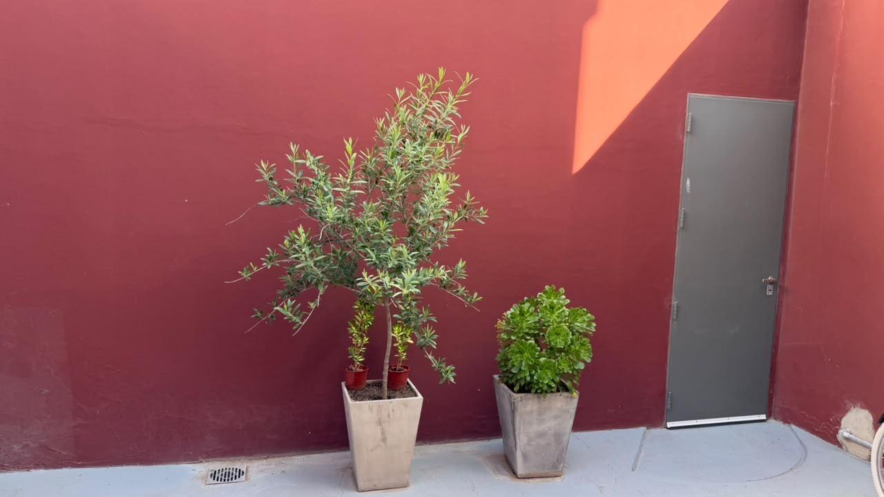 Foto 26