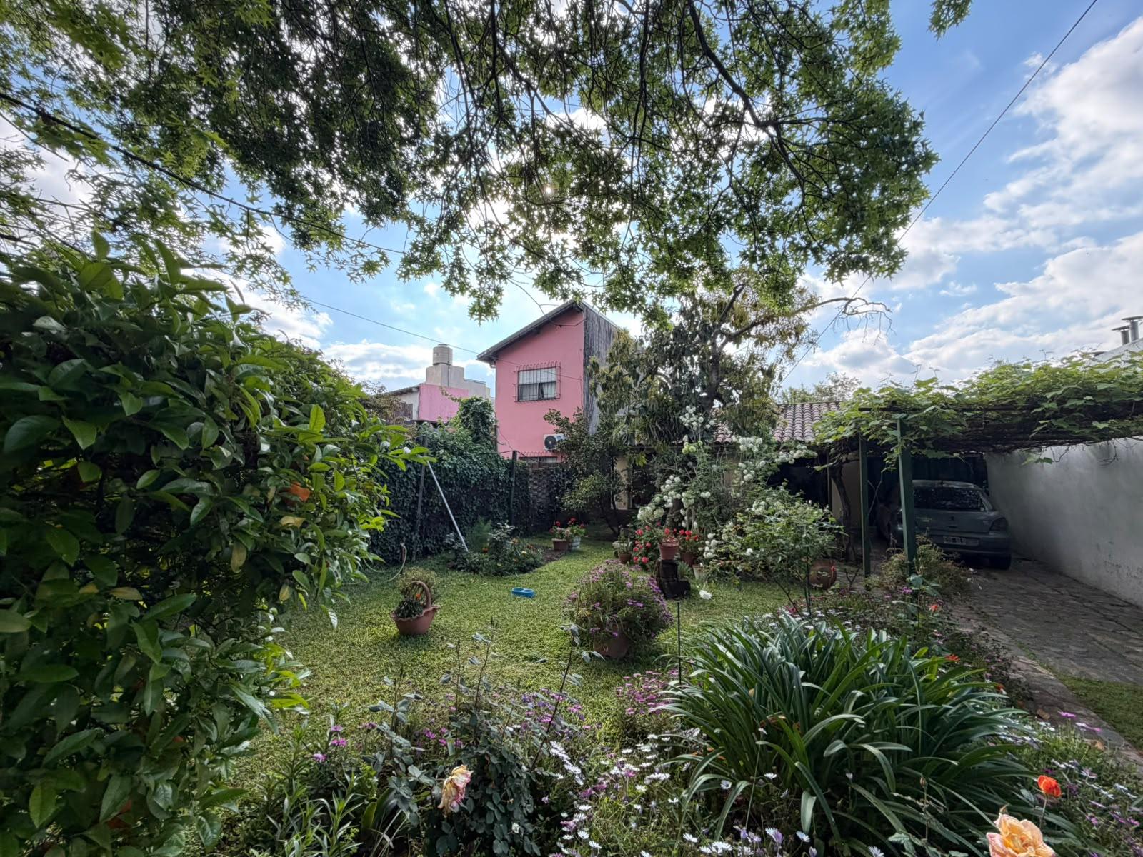 Foto 7