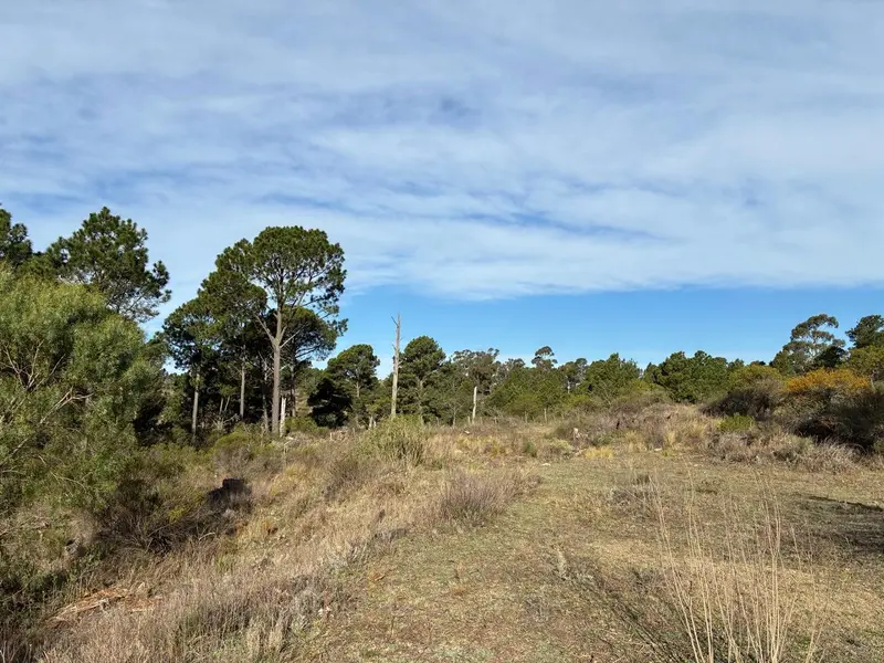 Terreno en venta · San Clemente, Santa Maria, Córdoba