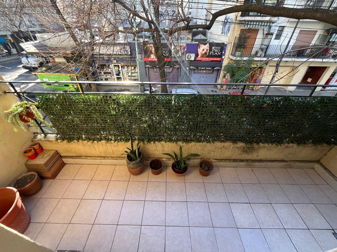 Foto 11
