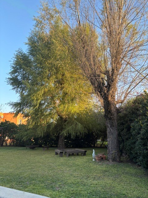 Foto 45