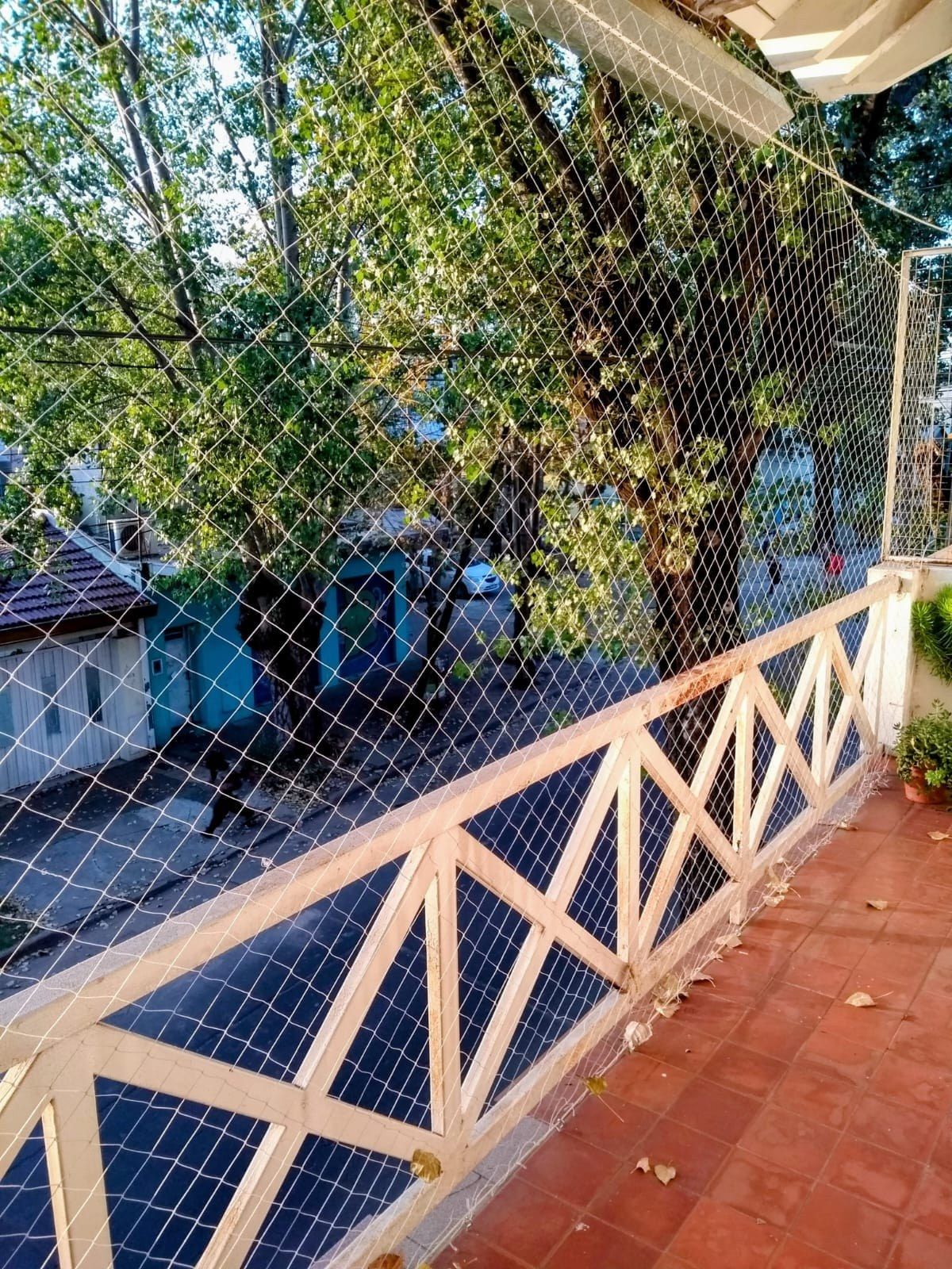 Foto 7