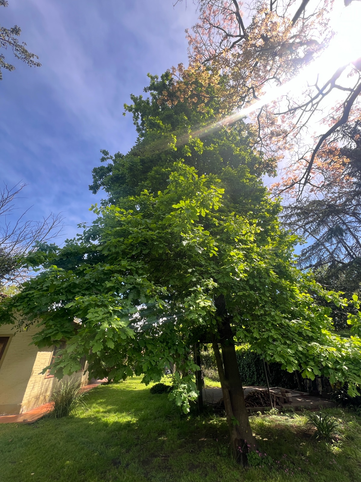 Foto 17