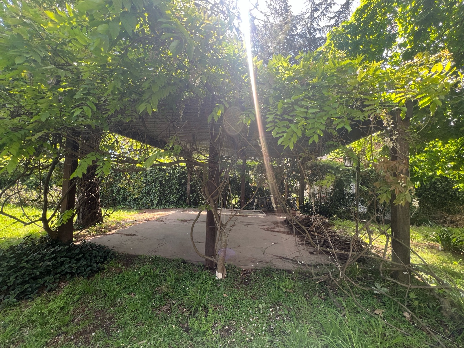Foto 19