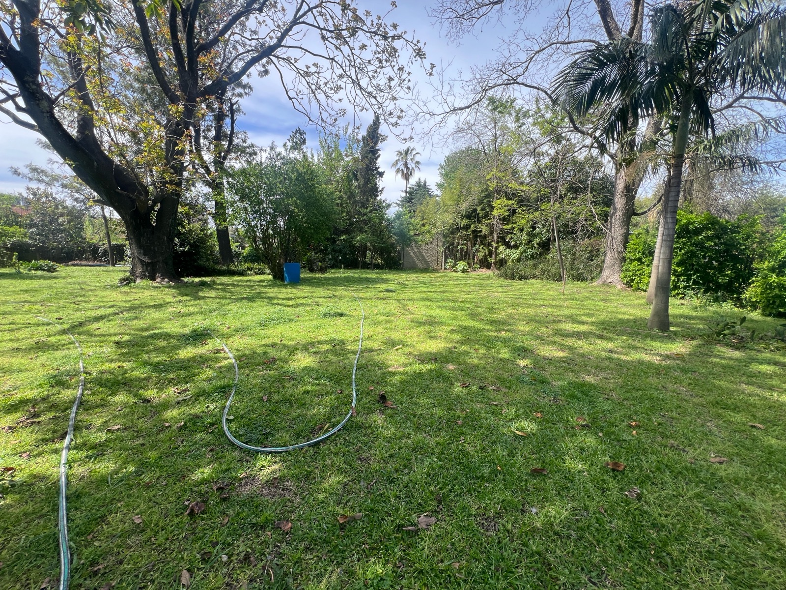 Foto 11