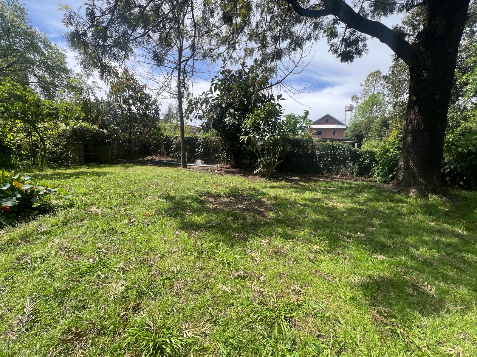 Foto 14