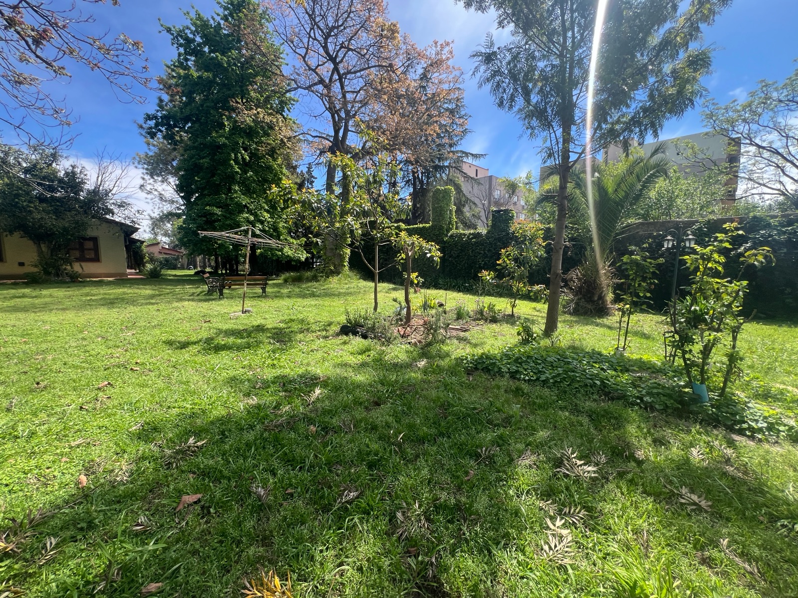 Foto 15
