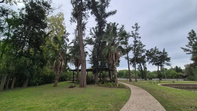 Foto 45