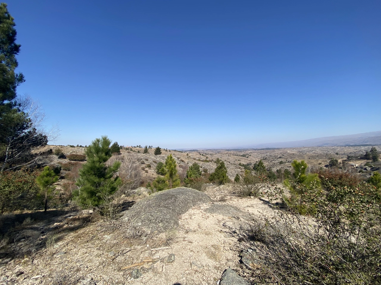 Terreno en venta · Villa Berna