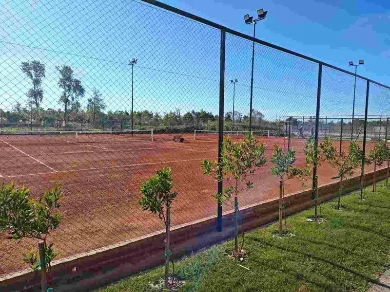 Foto 5