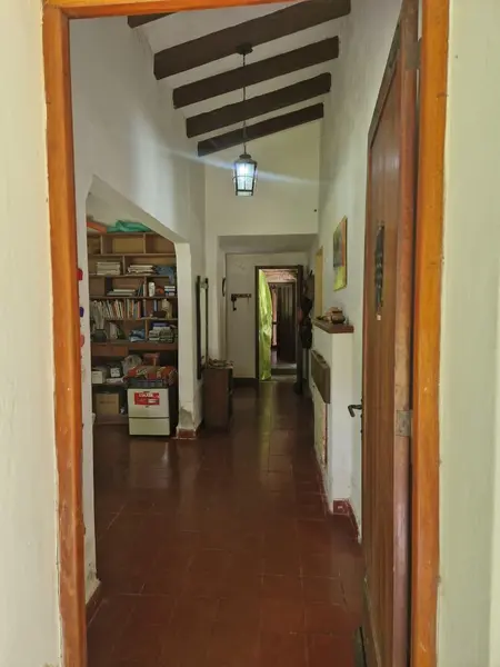 Foto 41