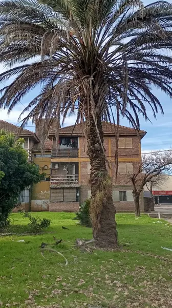 Foto 16