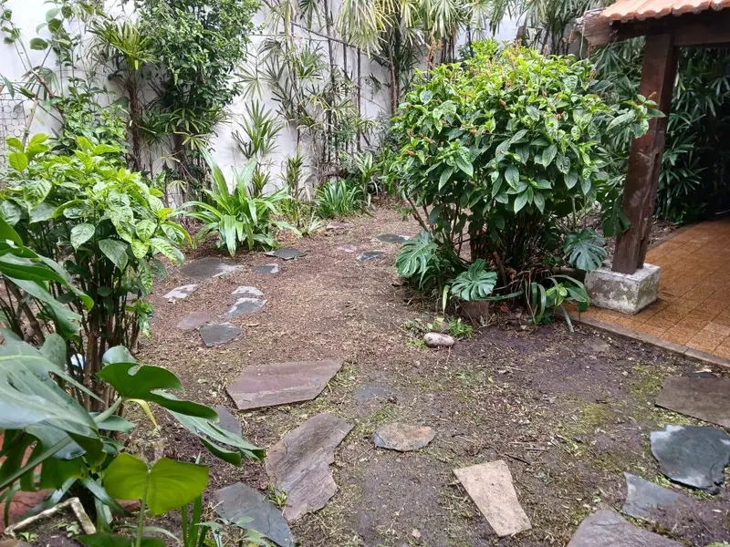 Foto 53