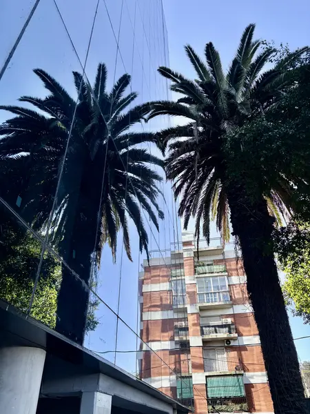 Foto 16