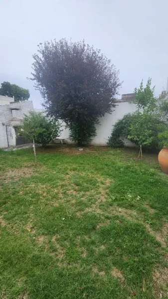 Foto 34