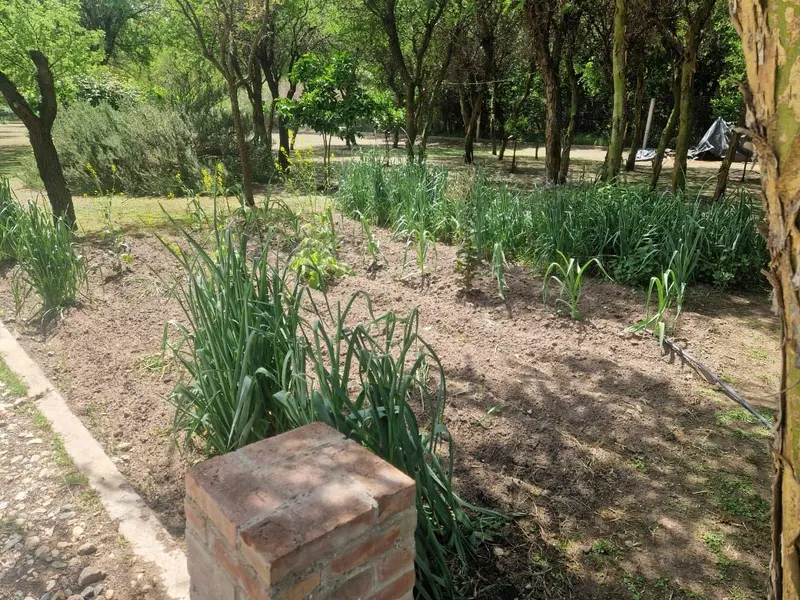 Foto 49