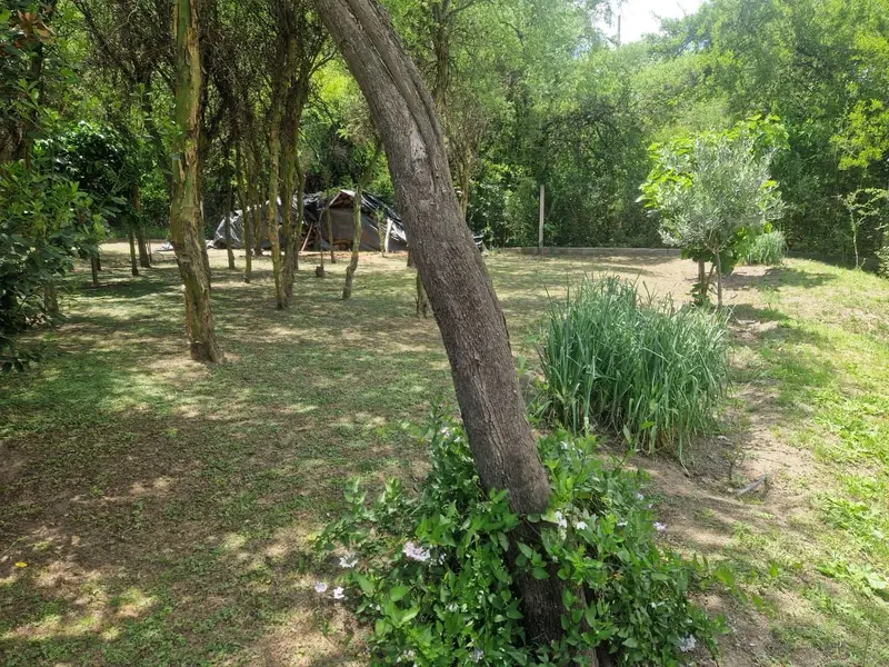 Foto 53