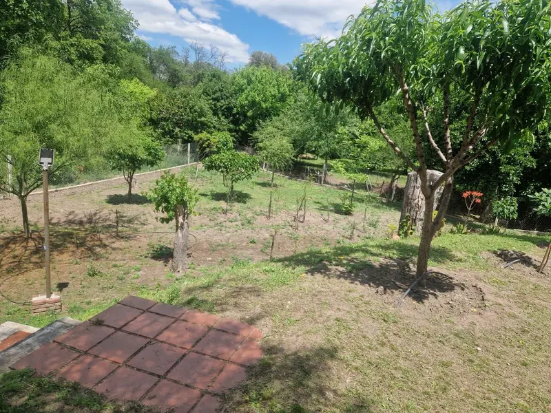 Foto 51