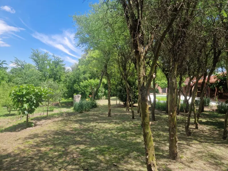 Foto 43