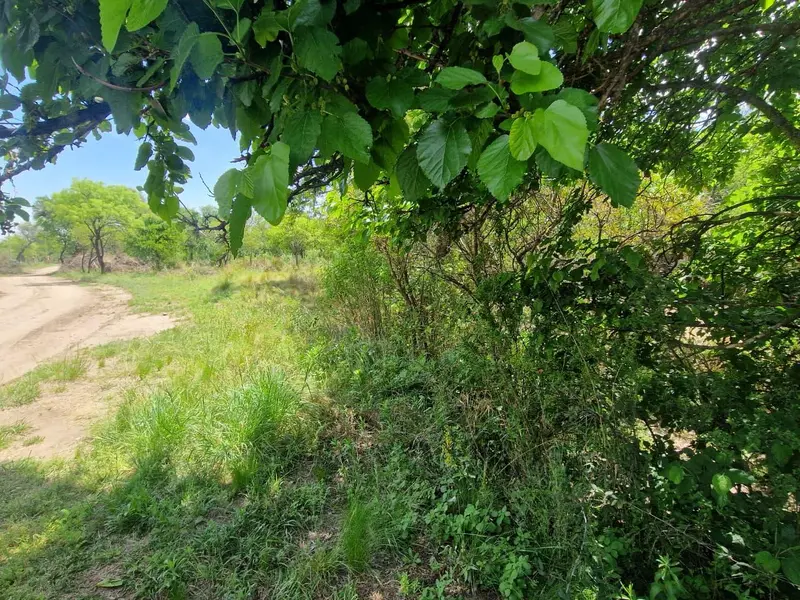 Foto 5